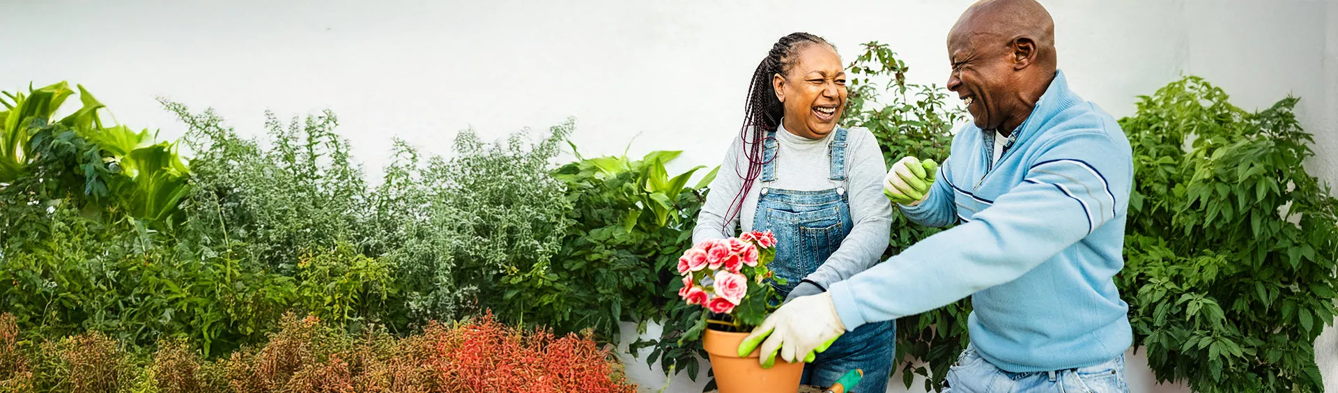 A smiling couple is gardening.