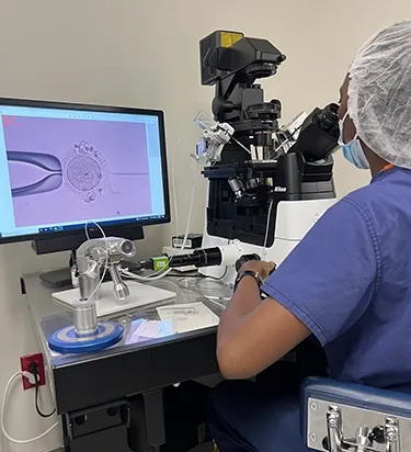 A doctor examines an egg in the lab.