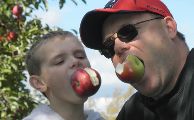 Beside an apple tree, a father and son use their teeth to hold apples in their mouths.