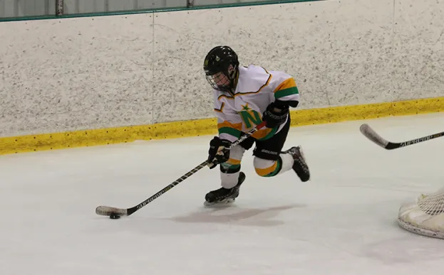 young boy playing hockey, skating with the hockey puck