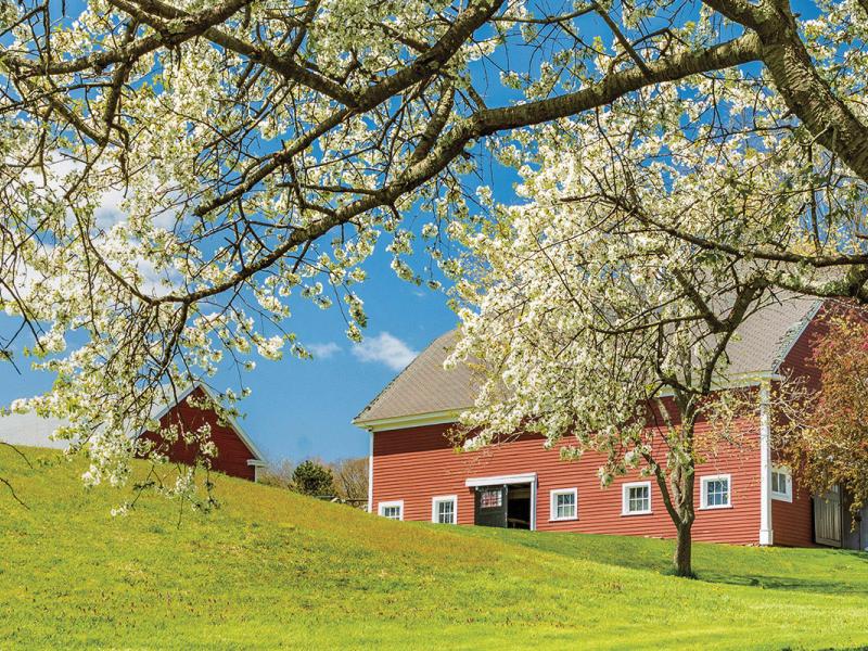 Photo of a springtime New England farm landscape